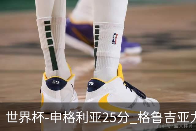 世界杯-申格利亚25分 格鲁吉亚力克委内瑞拉